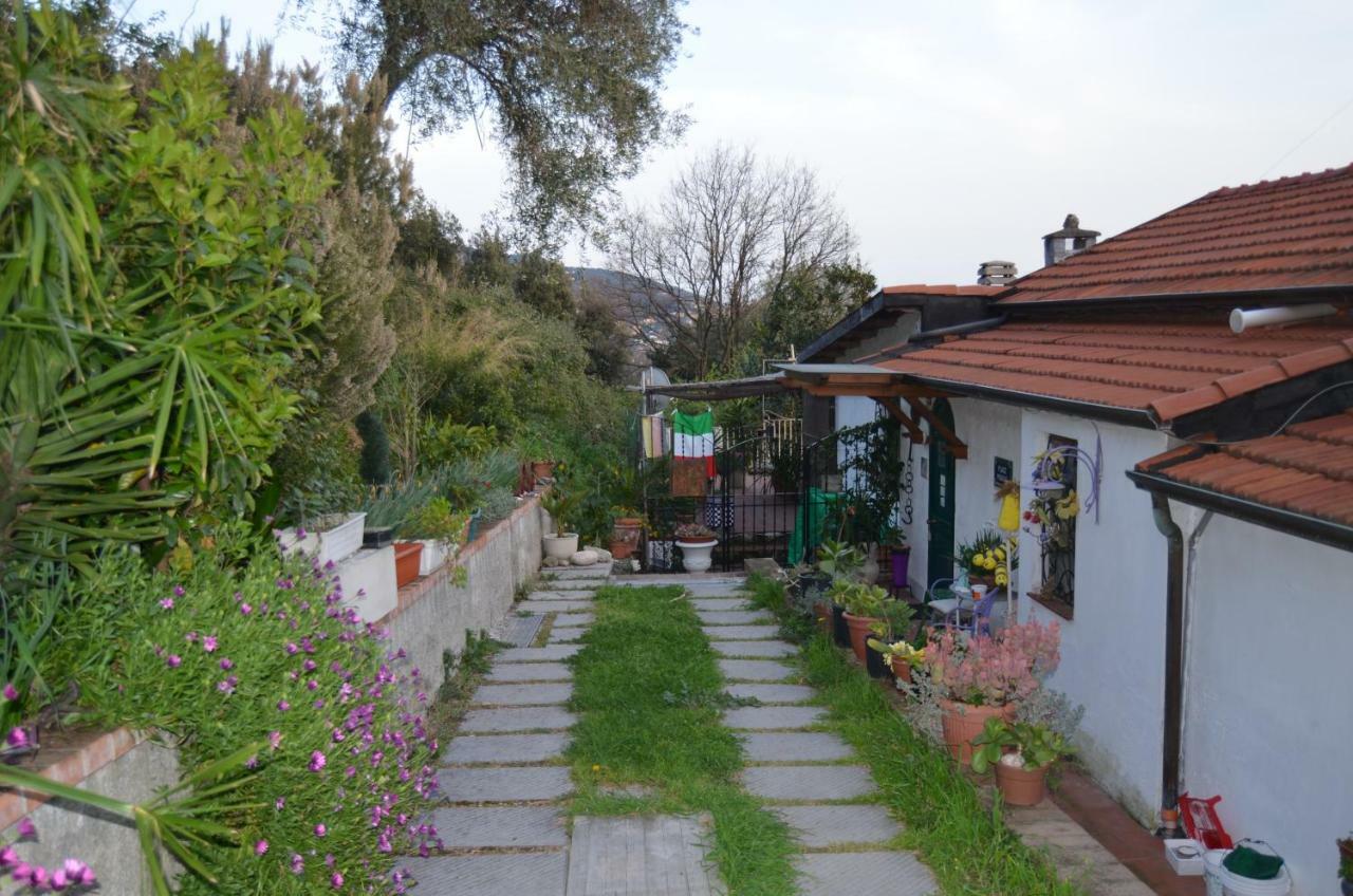 Pitelli La Pineta Bed & Breakfast エクステリア 写真